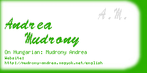 andrea mudrony business card